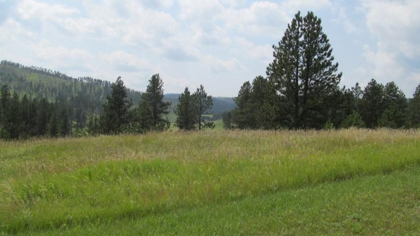 TBD Prospect Rd. - Photo 1