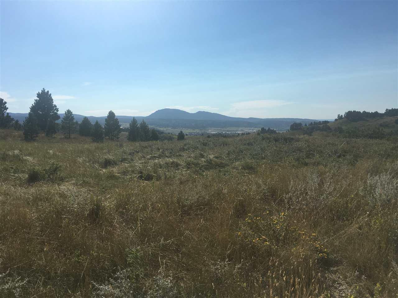 Lot 10C Lookout Vista Rd. - Photo 1