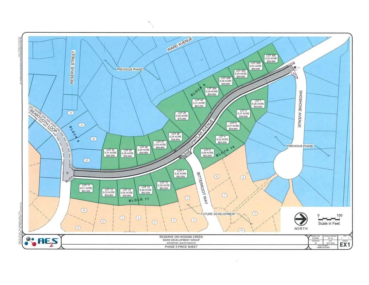 Lot 3, Block 10 Pintlar Avenue - Photo 1