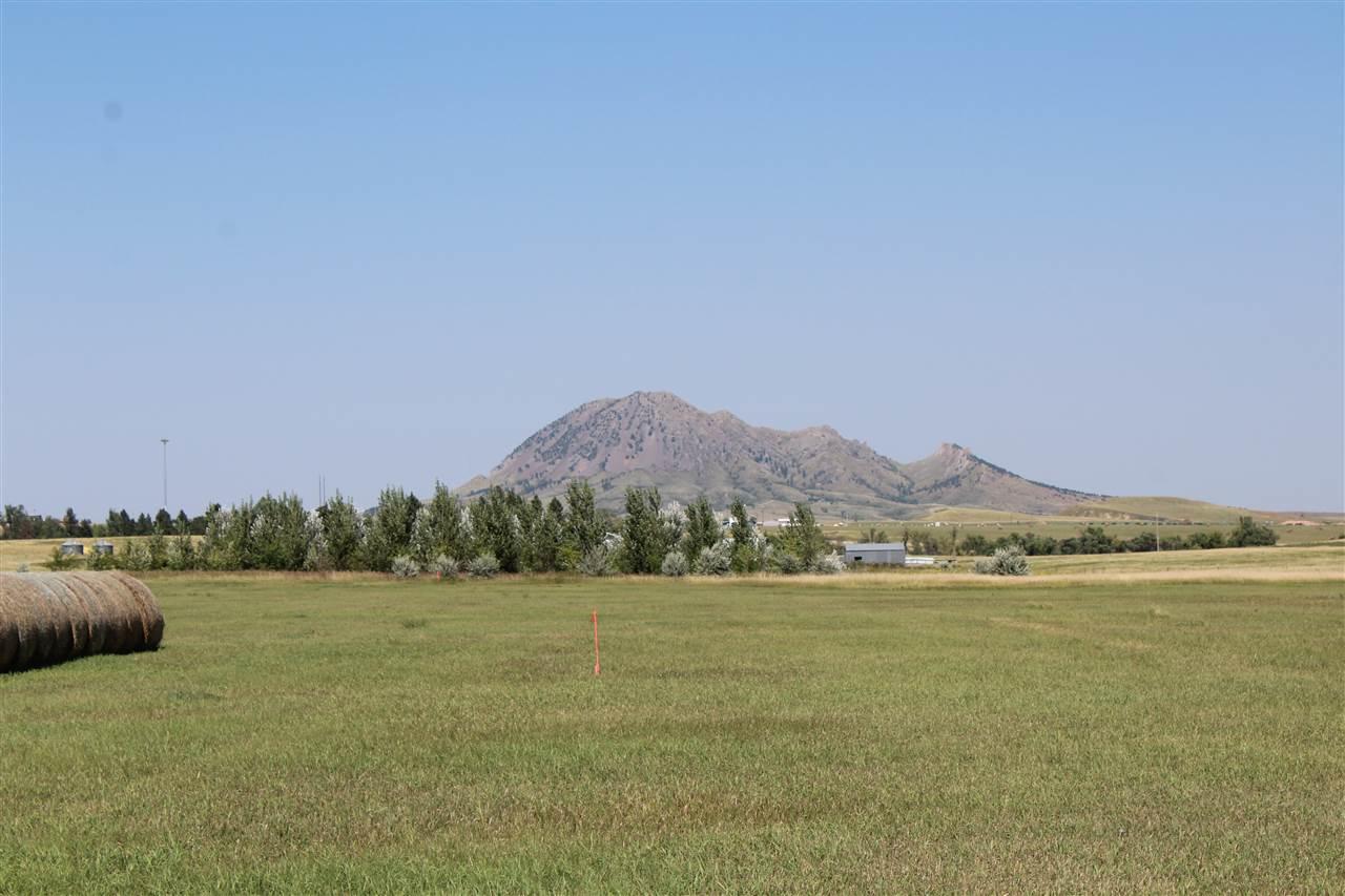20742 Fort Meade Way Lot 3 - Photo 1