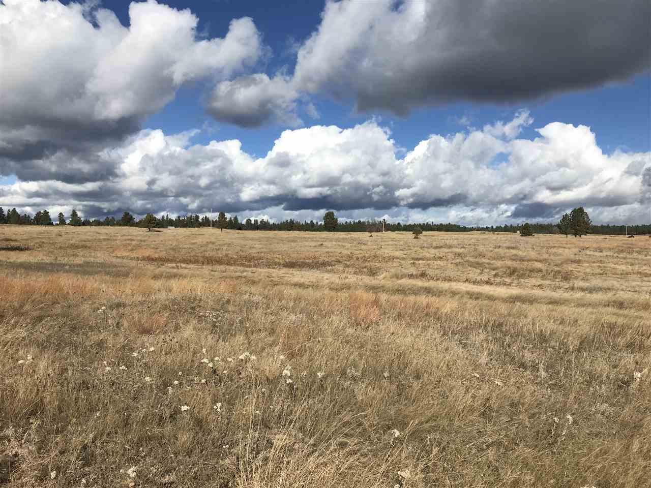 Lot 7 Custer Highlands - Photo 1