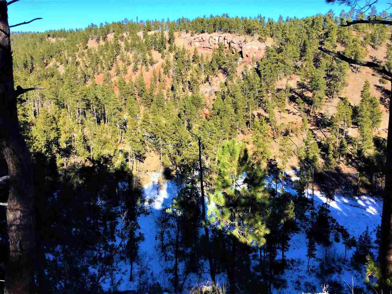 TBD Dana Road - Photo 1