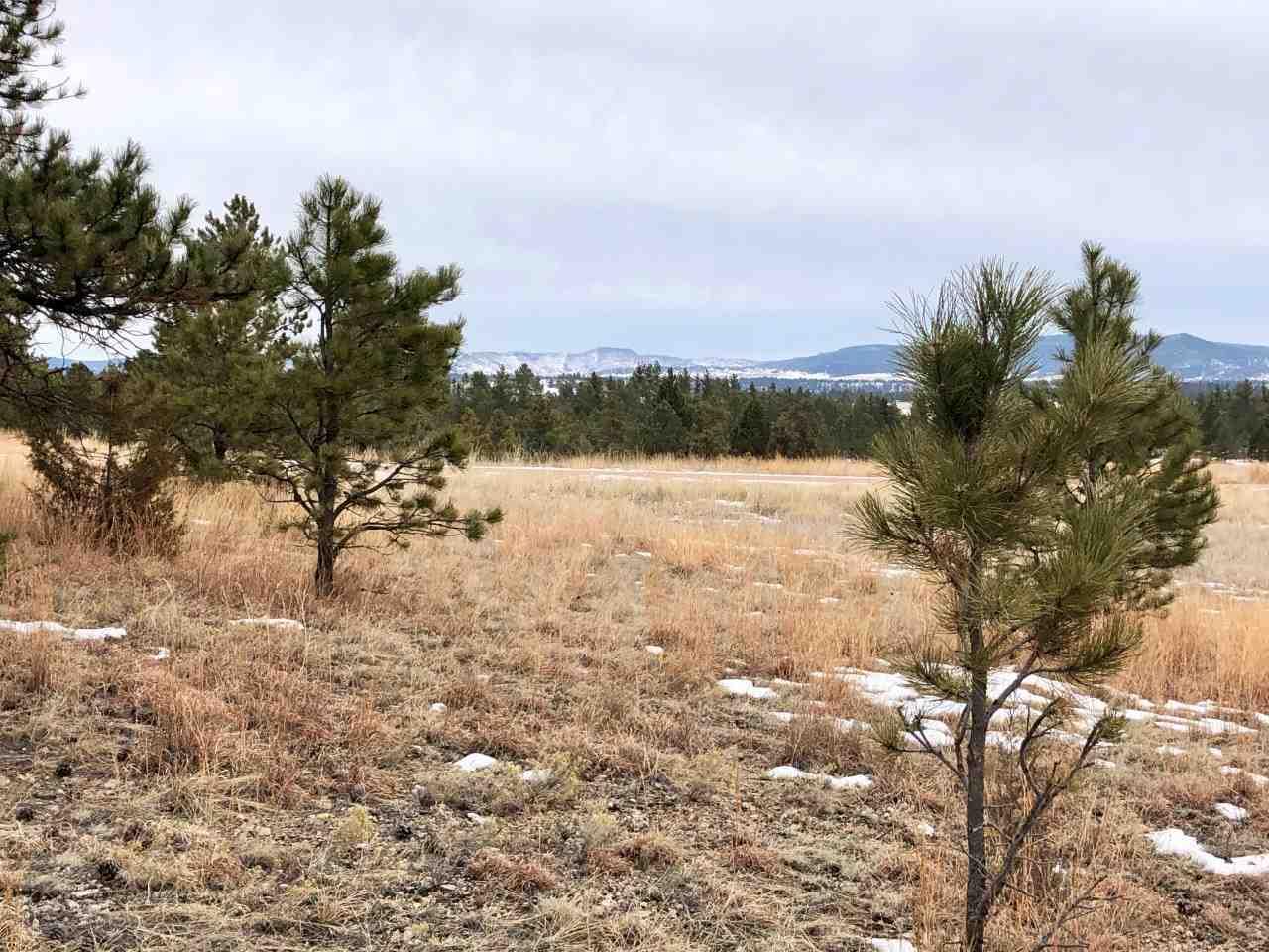 TBD Elk Run Road - Photo 1