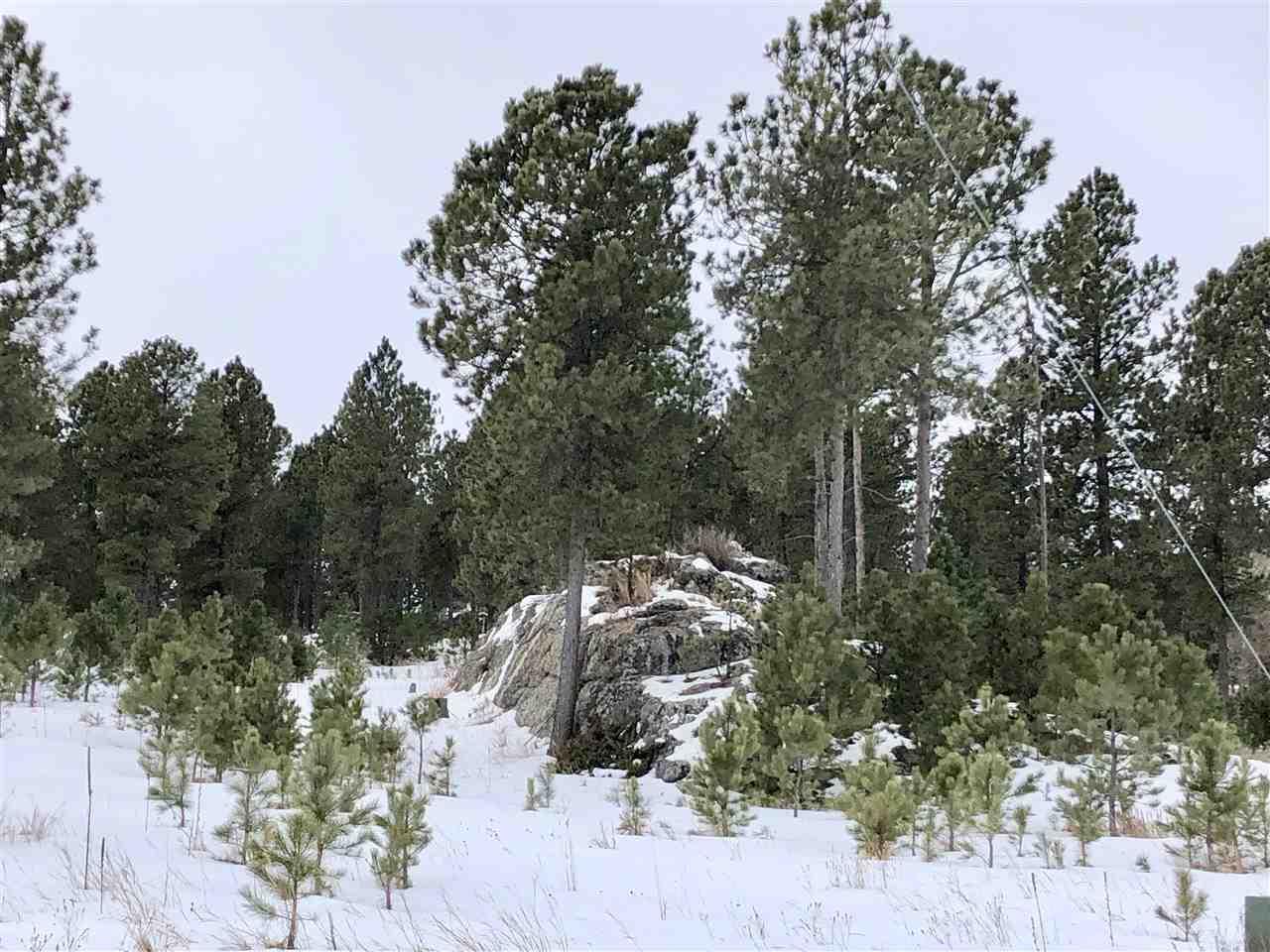 Lot 11 Cedar Berry Trail - Photo 1