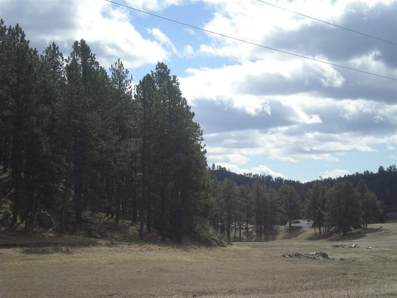 tbd Bowman Road - Photo 1