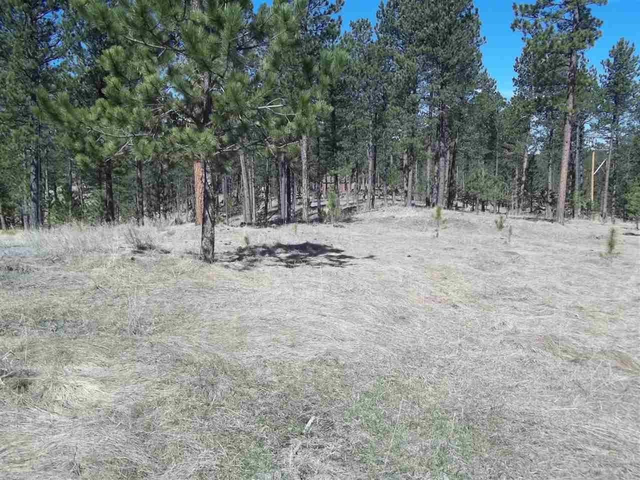 TBD Star Ridge Road - Photo 1