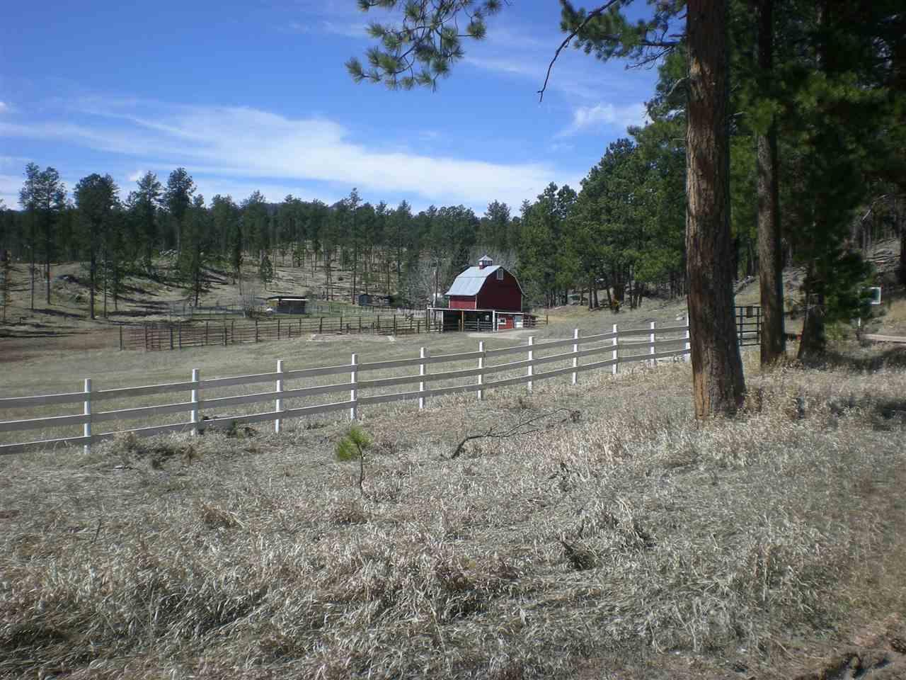 12486 Willow Creek Road - Photo 1