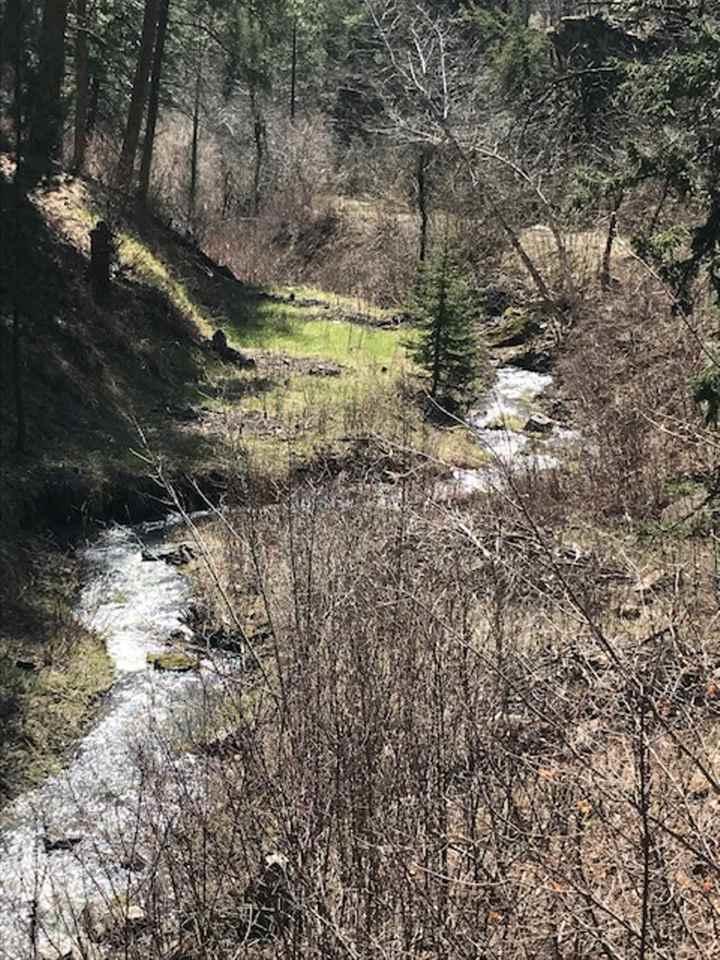 LOT 63 Spring Creek Road - Photo 1