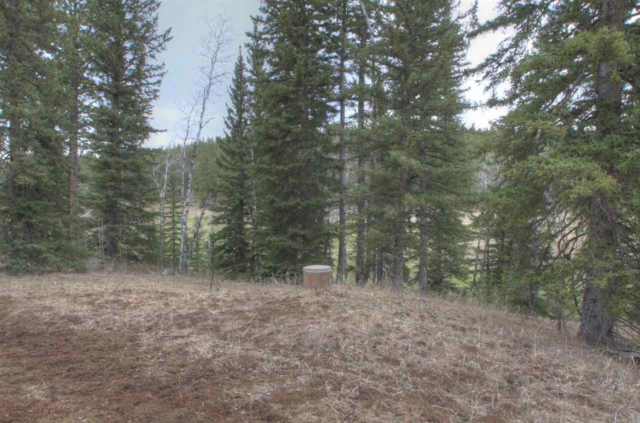 Lot 15 Ironwood Estates - Photo 1