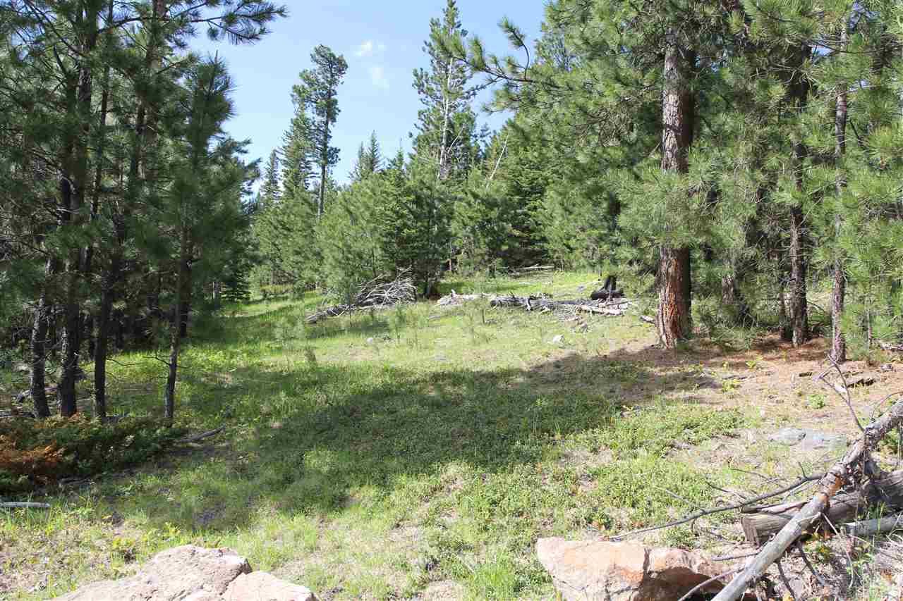 TBD Mountain Lion Road - Photo 1