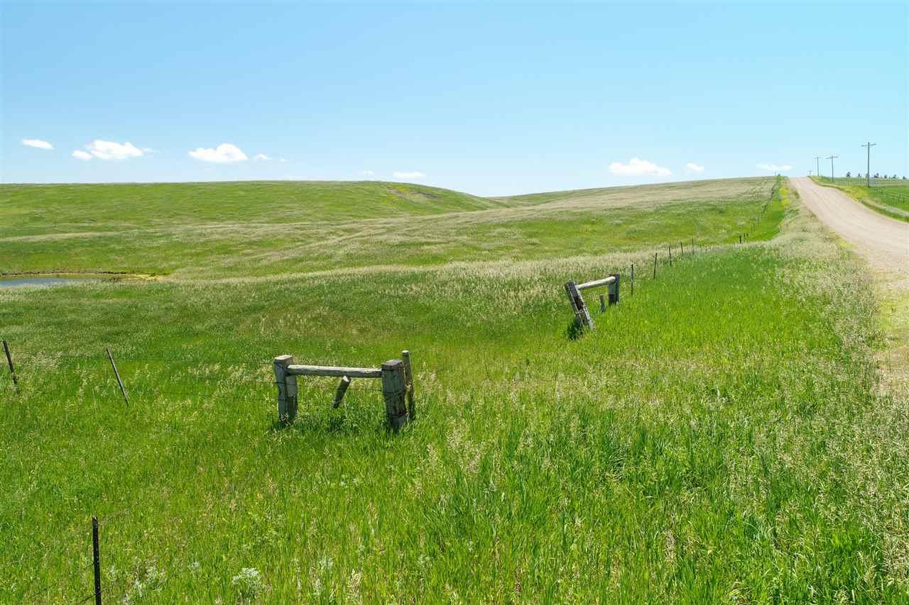 346.59 acres Whitewood Valley Road - Photo 1