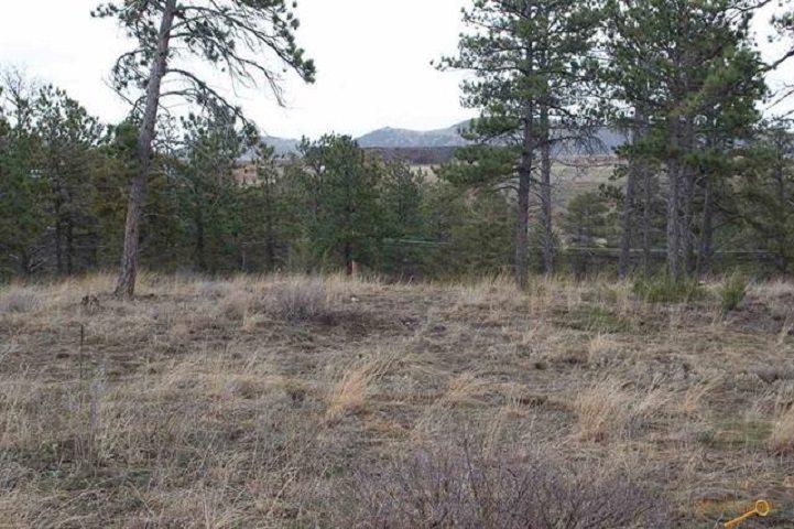 TBD Pine Hills Drive - Photo 1
