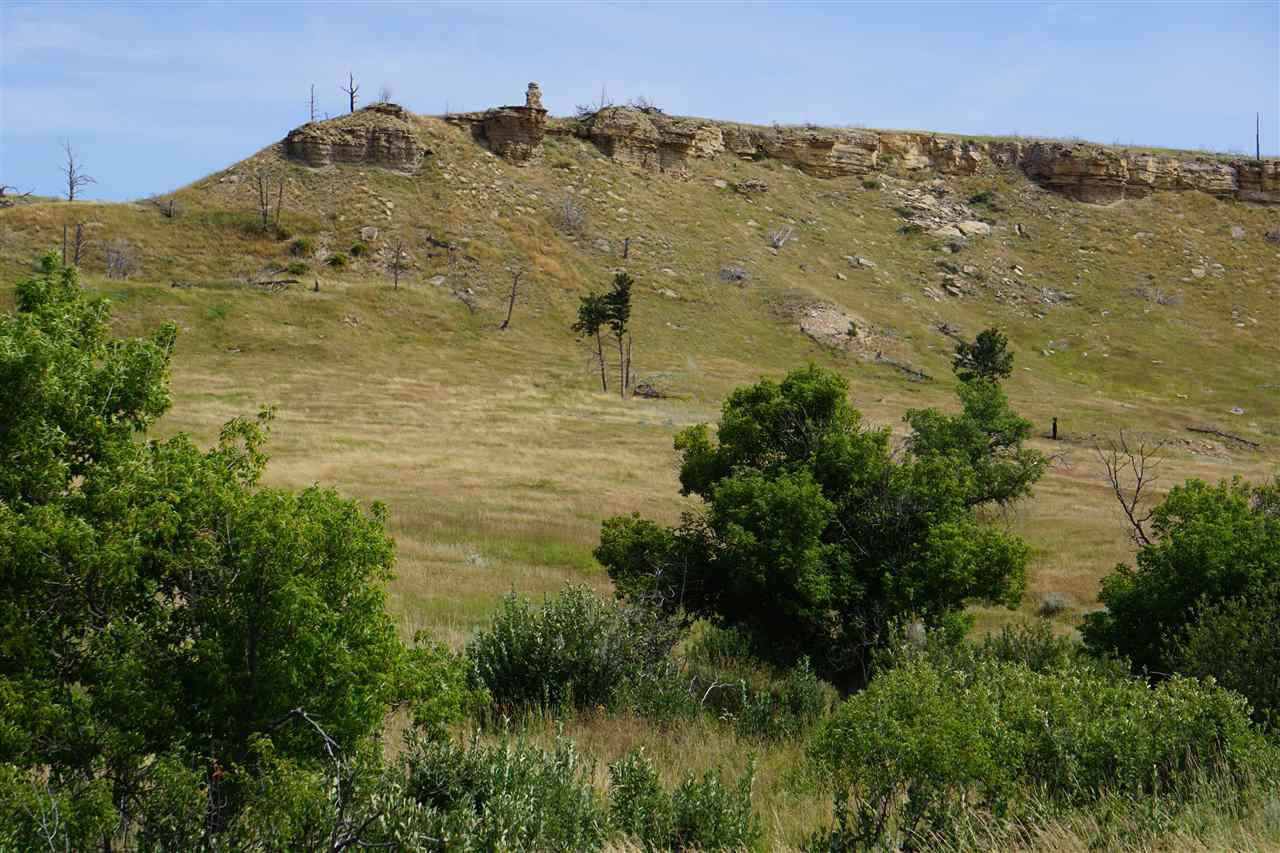 180 Cabin Creek Road - Photo 1