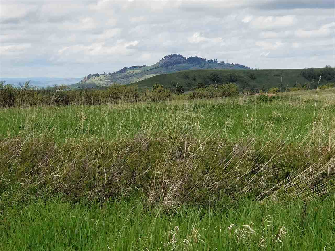 TBD Mcdermott Road - Photo 1