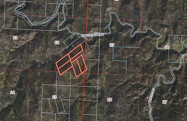 TBD Castle Peak Road Road - Photo 1