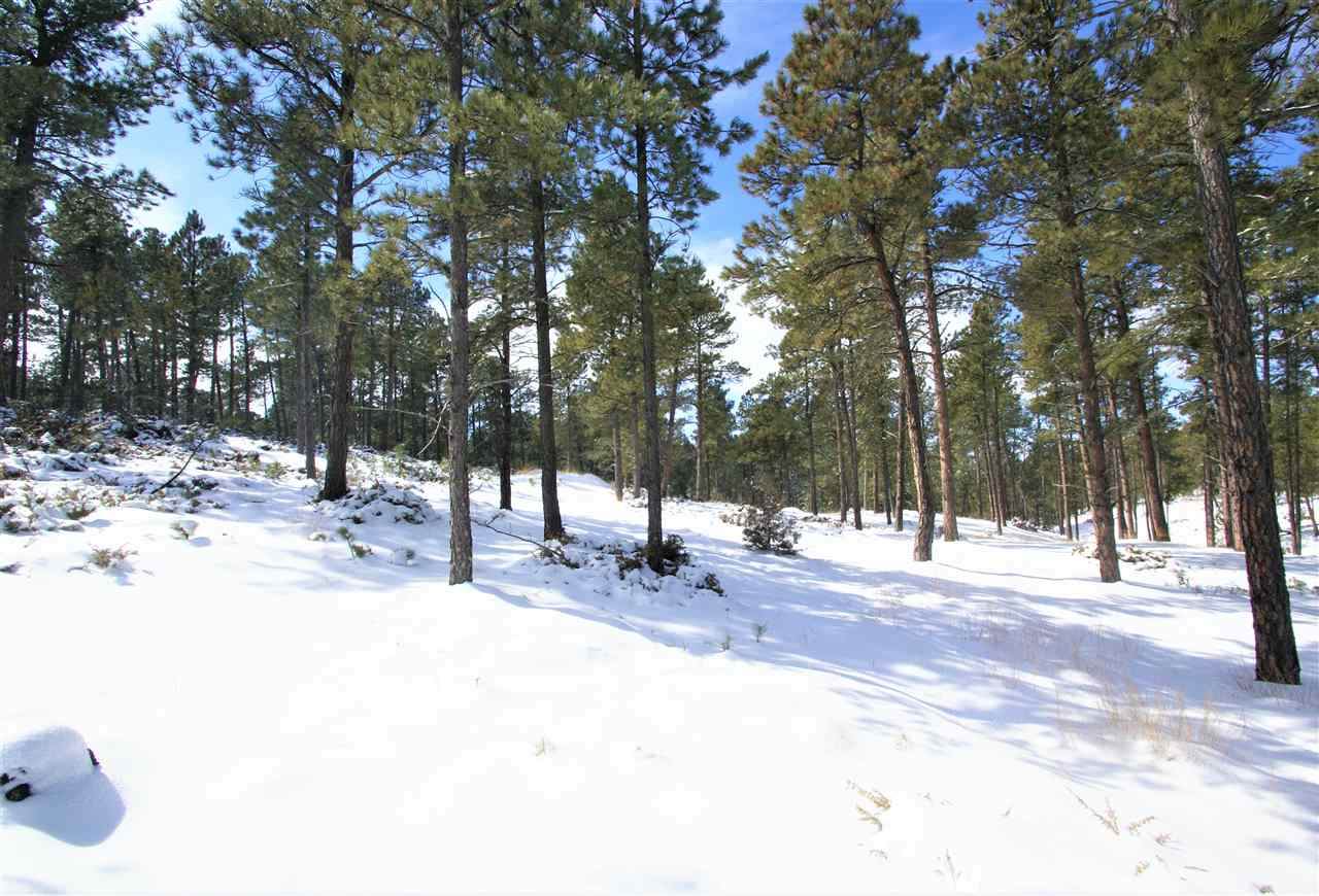 26785 Buffalo Butte Drive - Photo 1