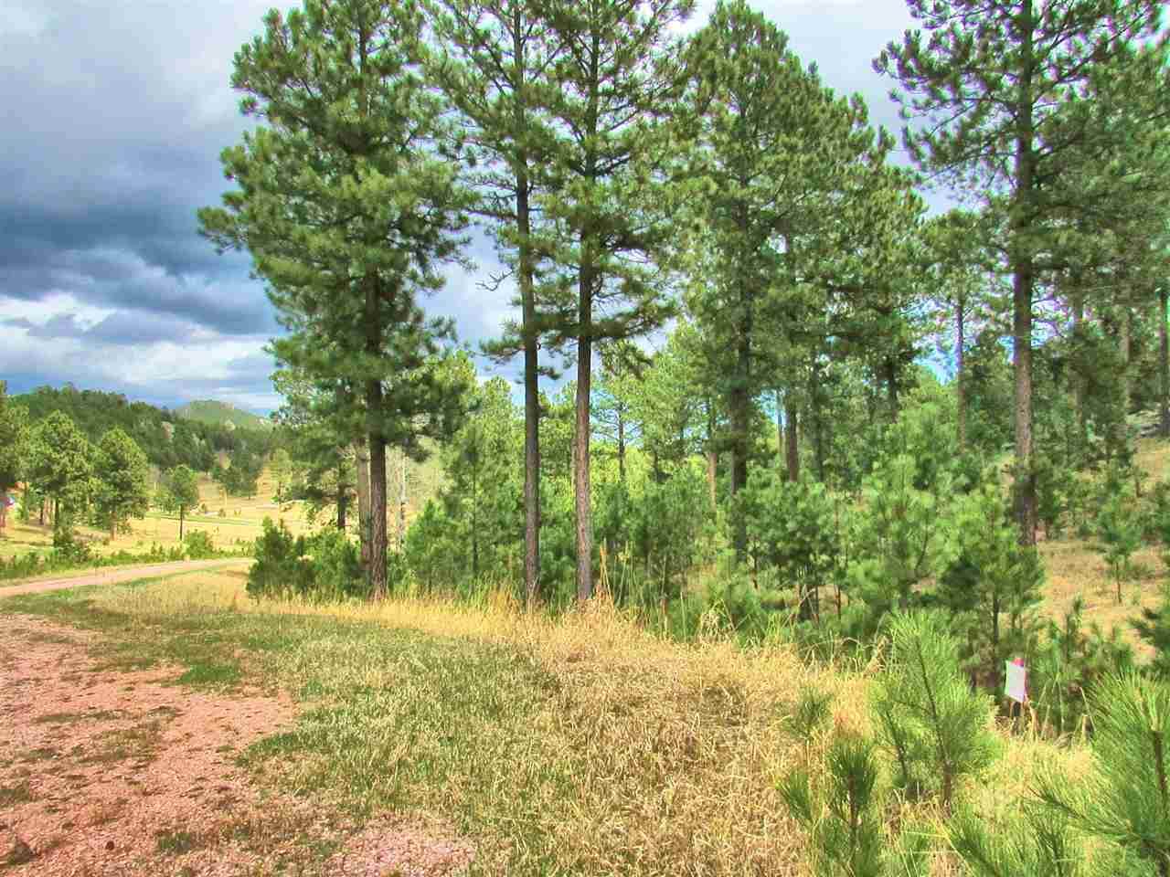 Lot 11 Cedar Berry Trail - Photo 1 Lot 11 Cedar Berry Trail - Photo 1