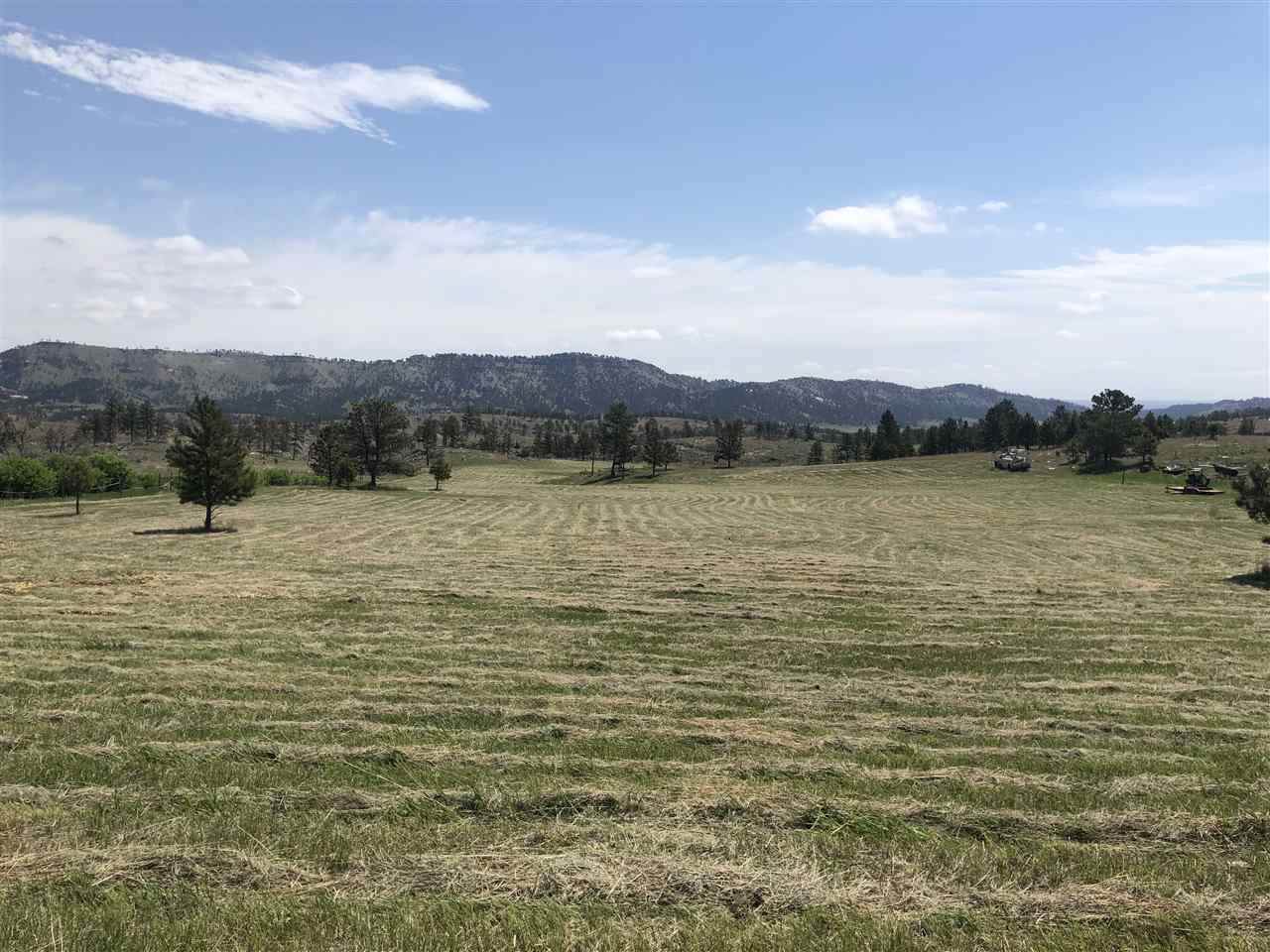 Front Tract 1 Cascade Road - Photo 1