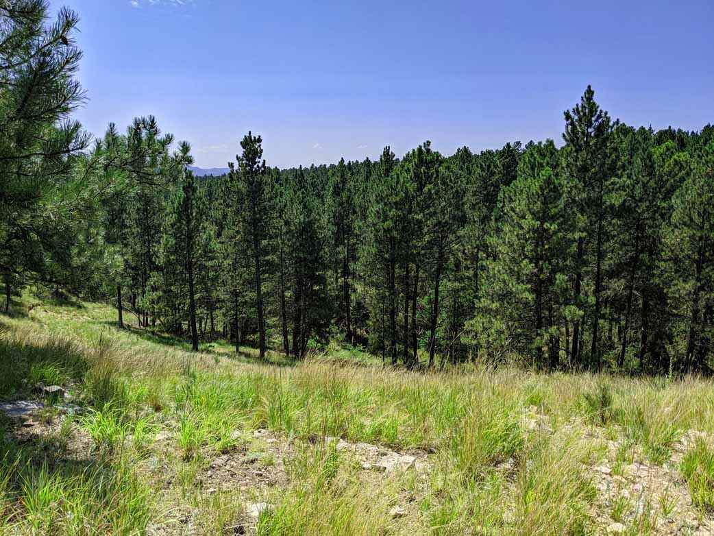 TBD Gobbler Ridge Road - Photo 1