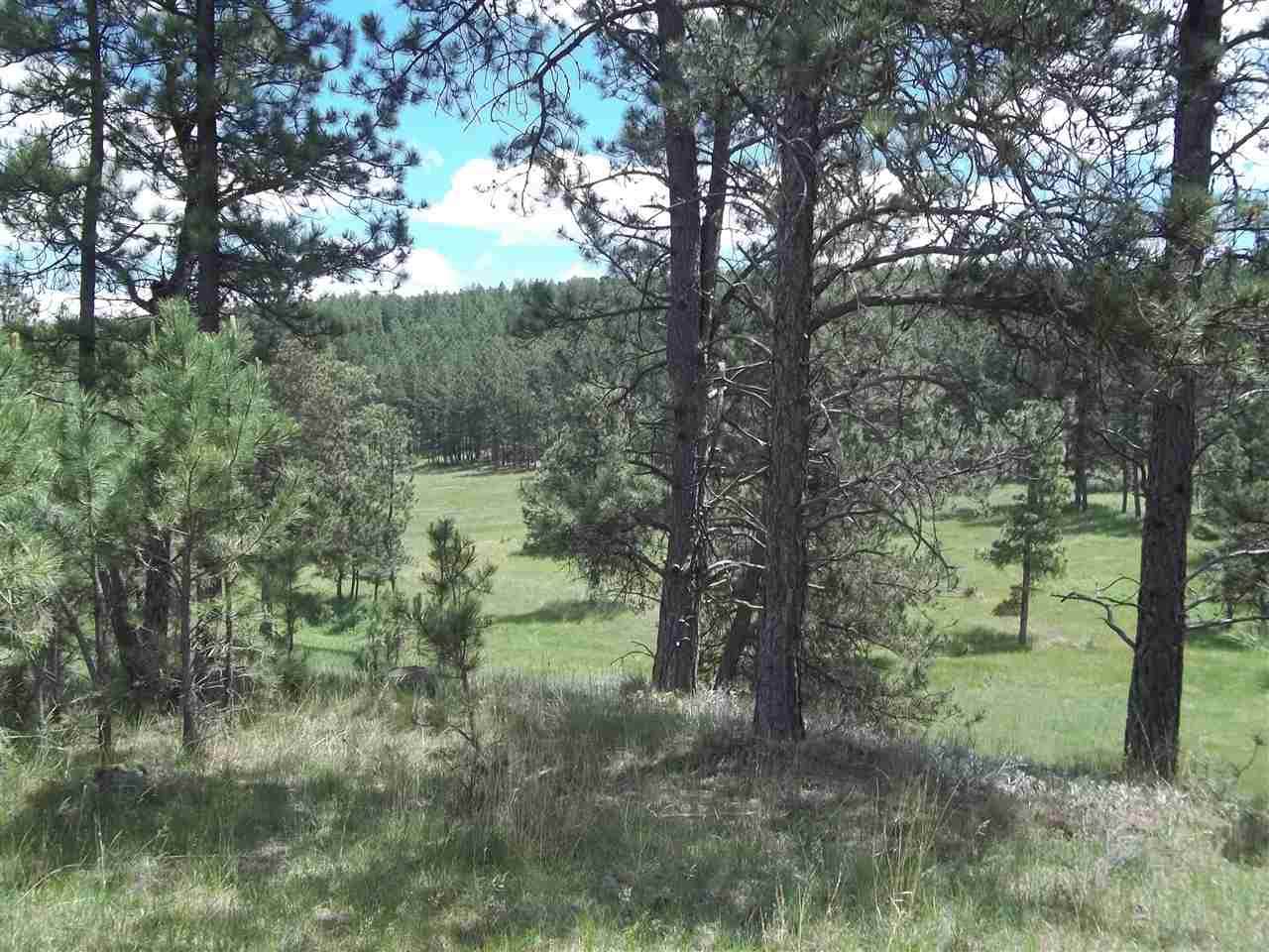 tbd Address Not Published - Photo 1