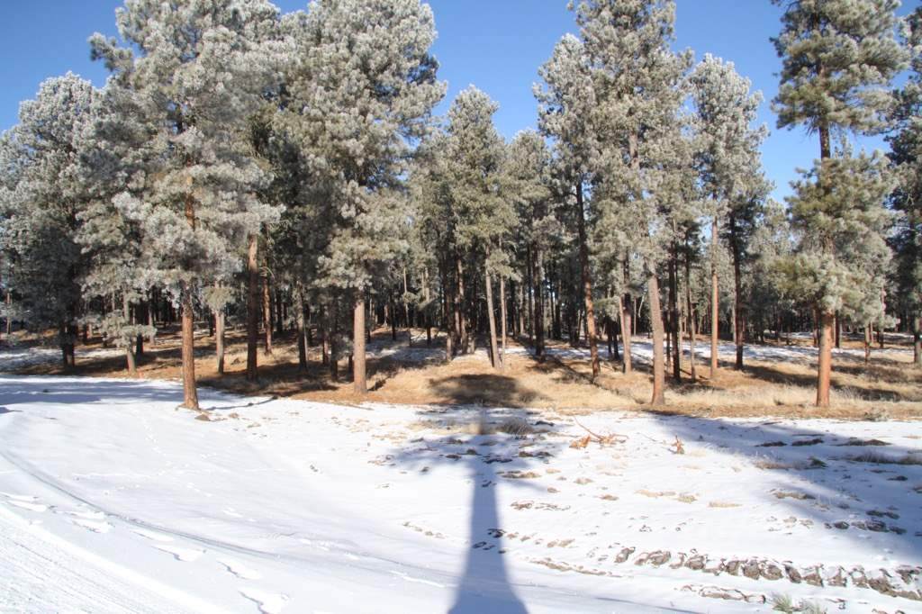 TBD Tin Cup Trail - Photo 1