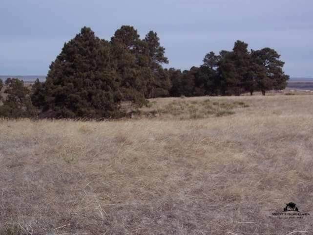 Lot 5A Hat Ranch Drive - Photo 1