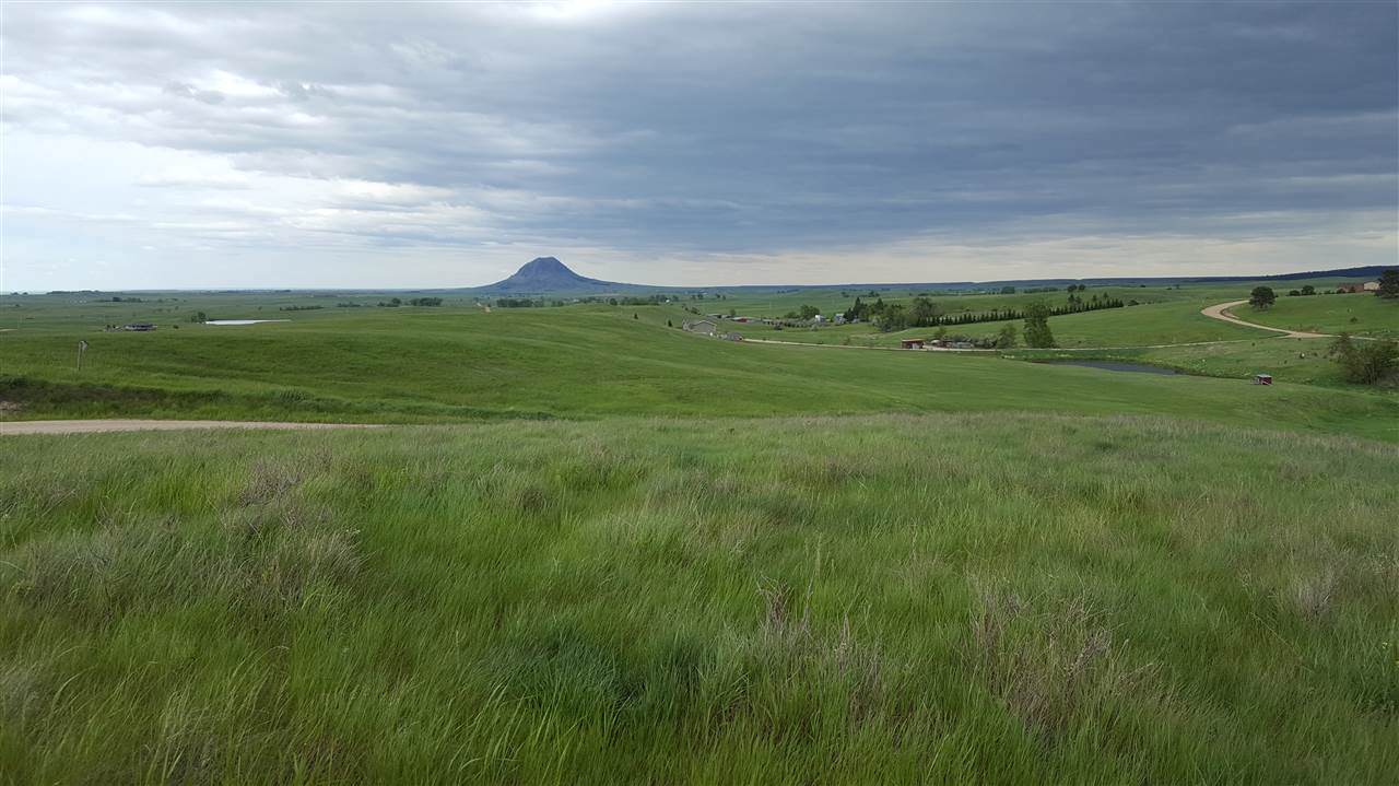Lot 22 Rawhide Road - Photo 1