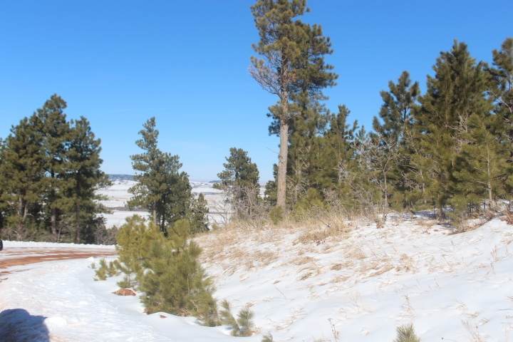 Lot 31R Centennial Vista Avenue - Photo 1