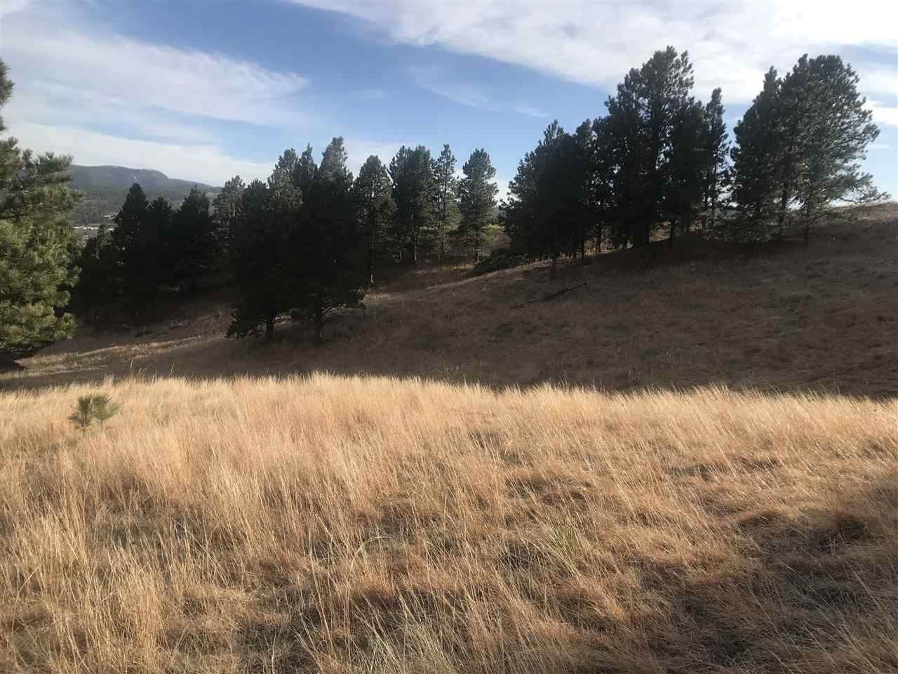 3949 Twisted Oak Road - Photo 1