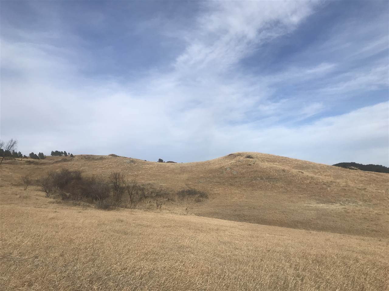 3978 Twisted Oak Road - Photo 1