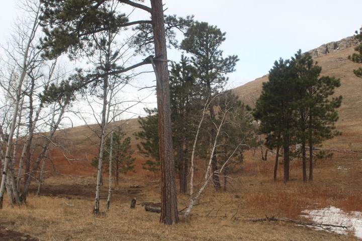 LOT 26 Address Not Published - Photo 1
