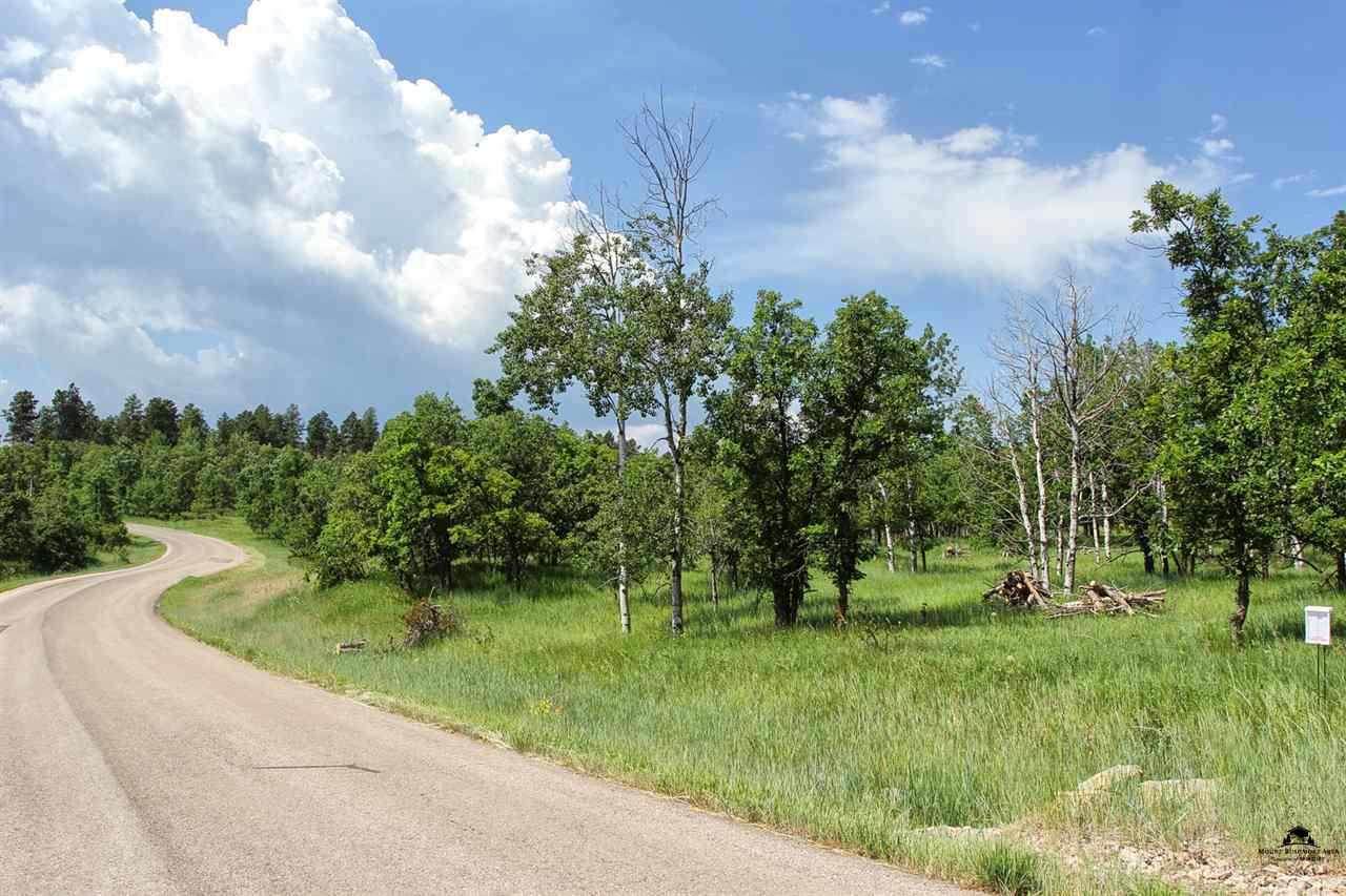 Lot 29 Lark Spur Road - Photo 1