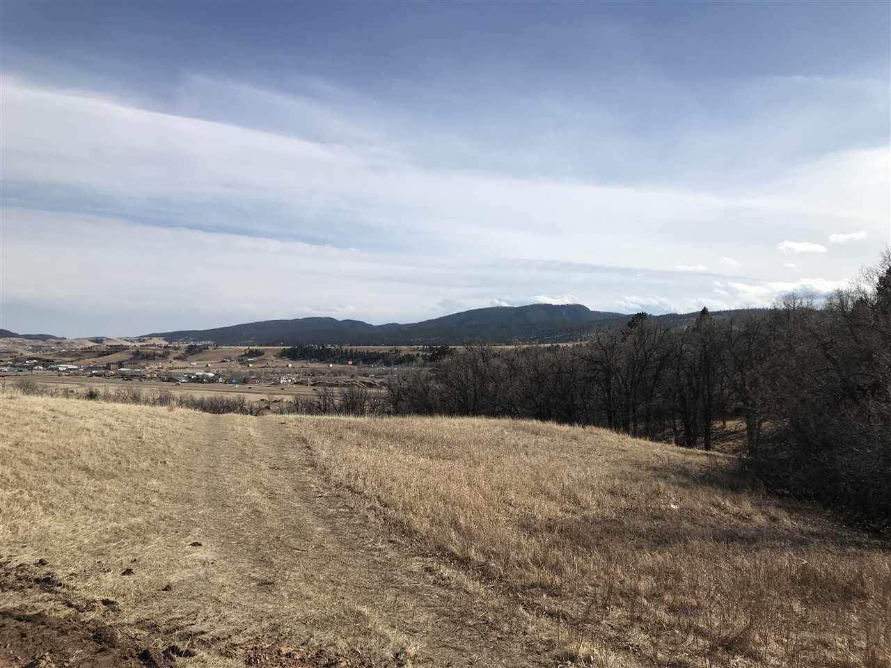 3812 Twisted Oak Road - Photo 1