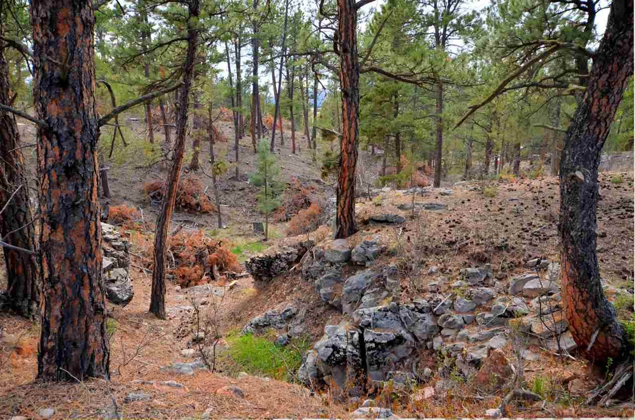TBD Highlands Road - Photo 1