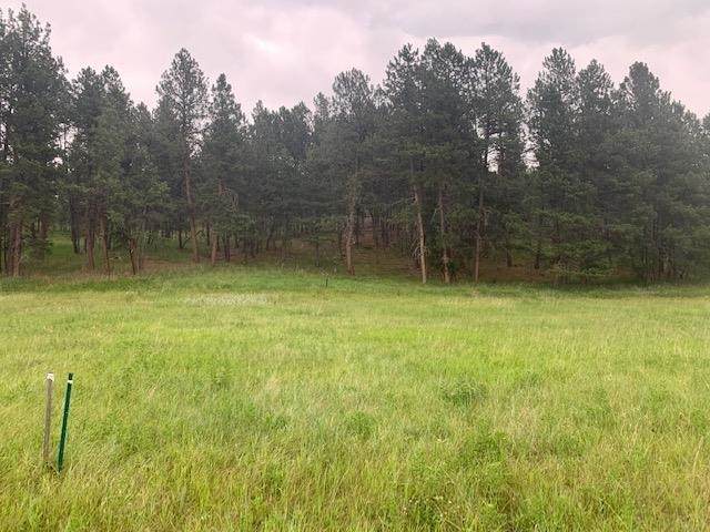 TBD Sidney Trail - Photo 1