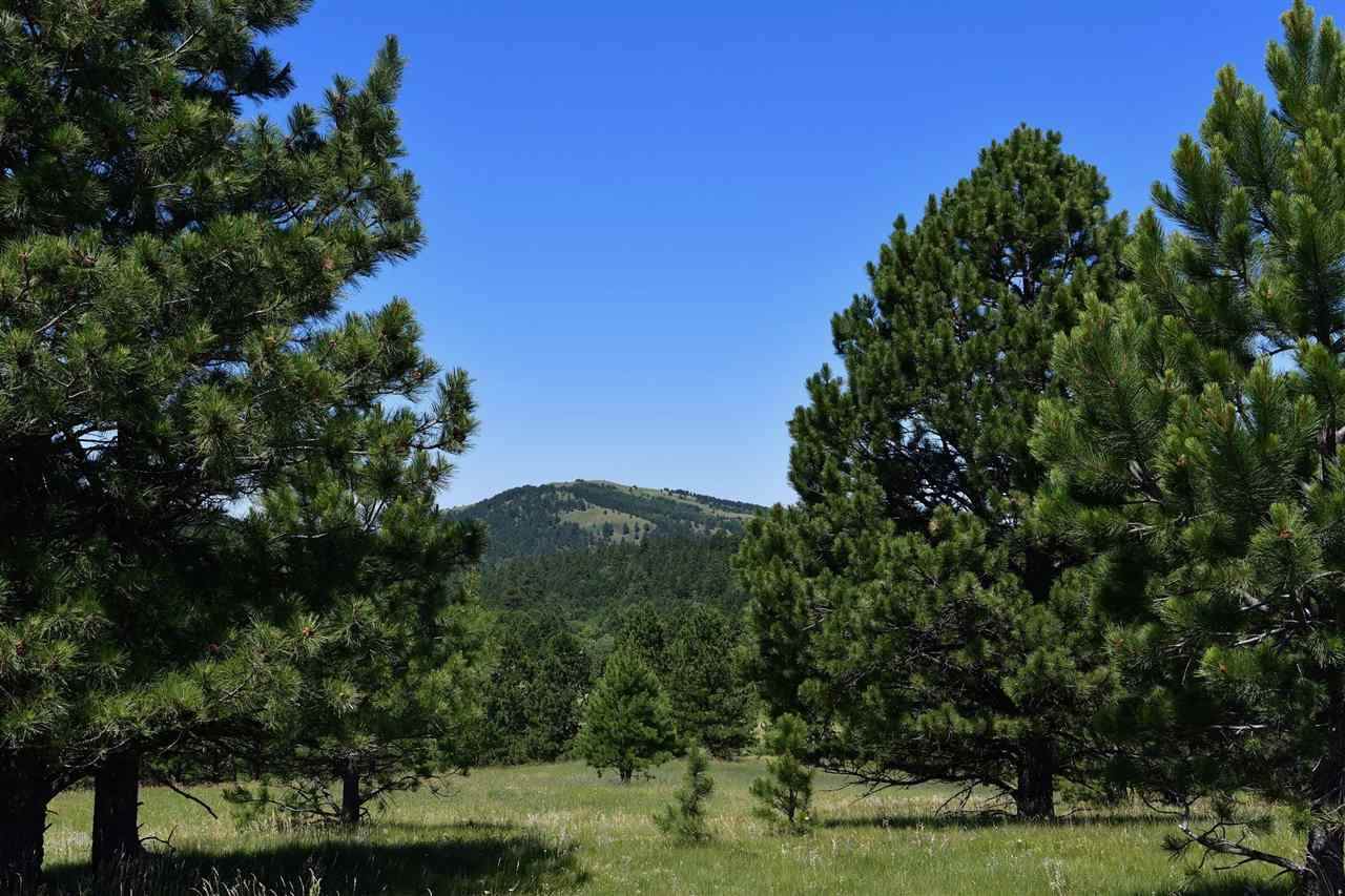 TBD TRACT 5 Oak Street - Photo 1