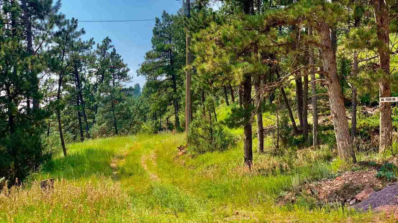27313 Estates Road - Photo 1