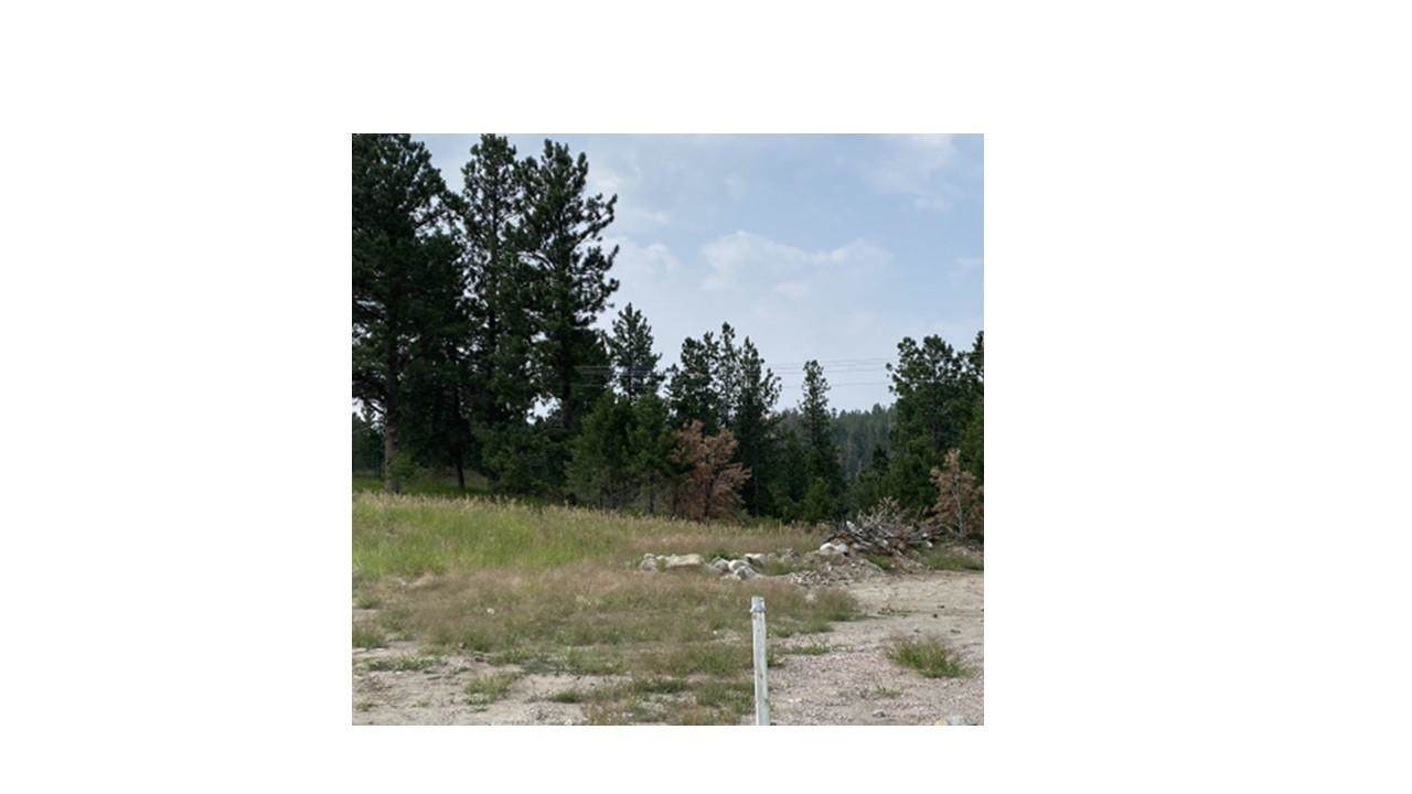 1020 Quinn Drive - Photo 1