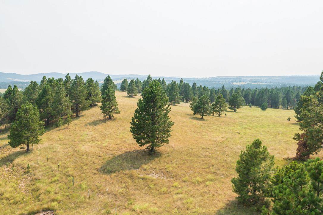 TBD Timber Ridge Road - Photo 1