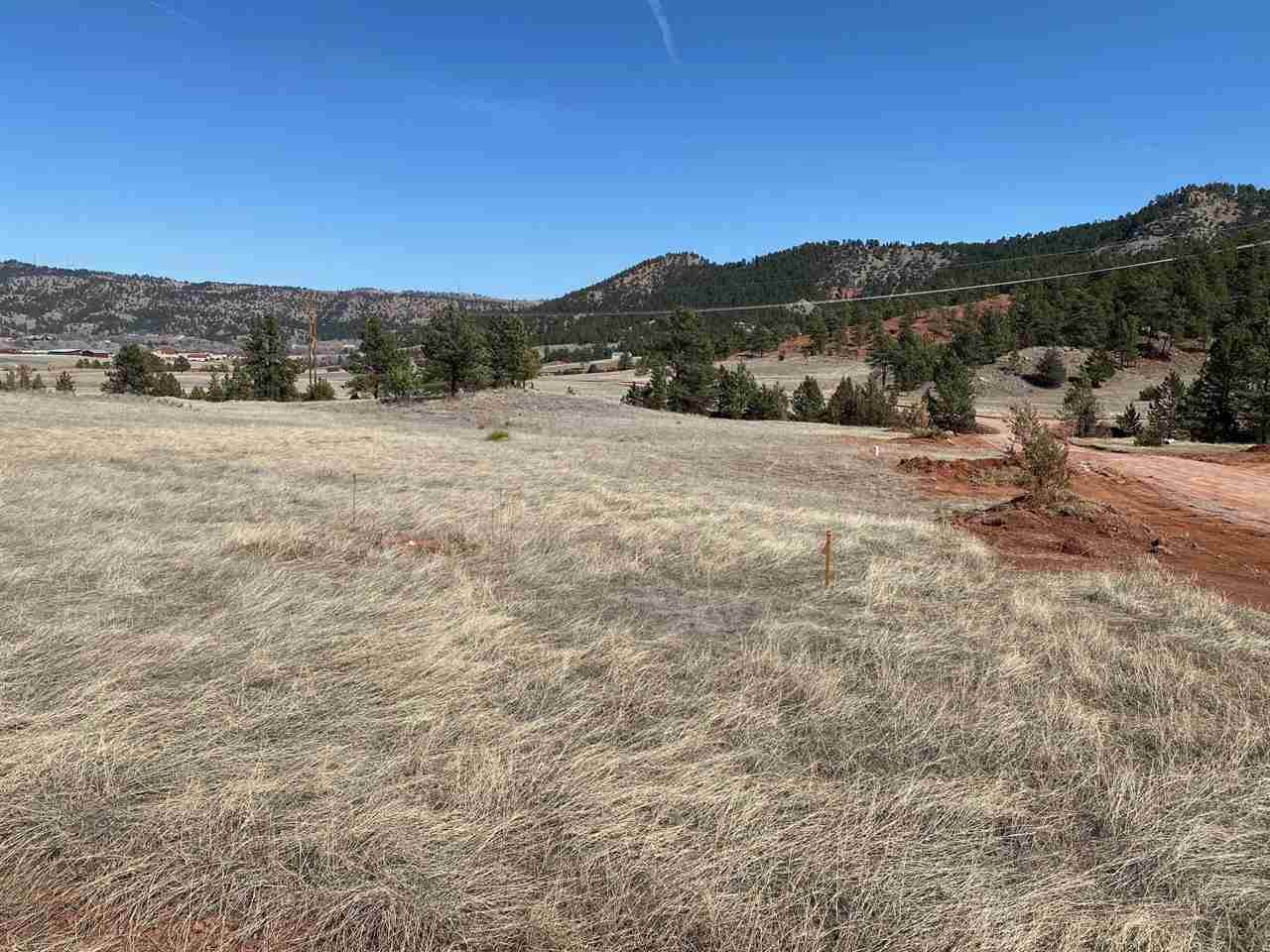 TBD Pasque Flower Lane - Photo 1