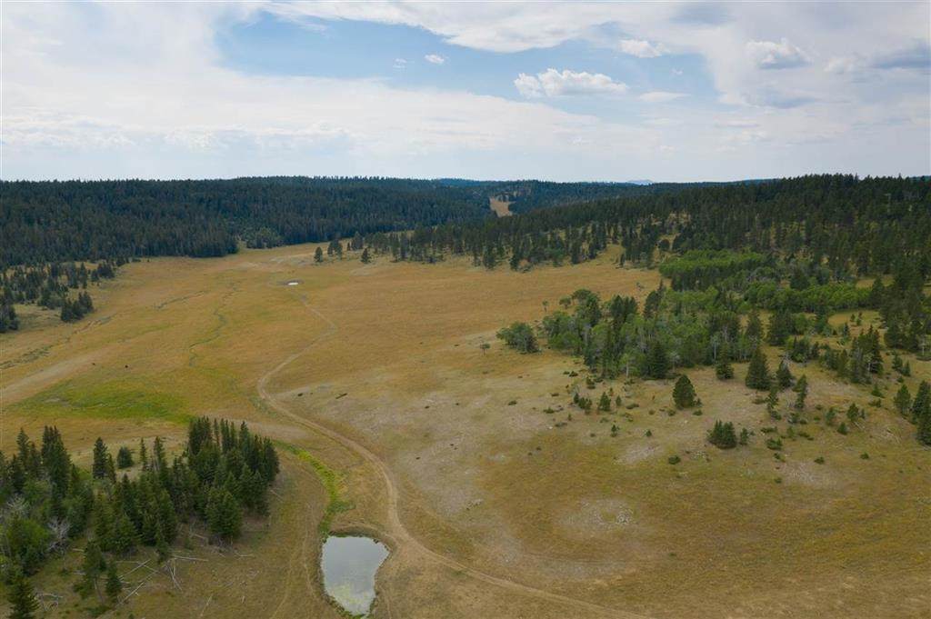 TBD Boles Canyon Road - Photo 1