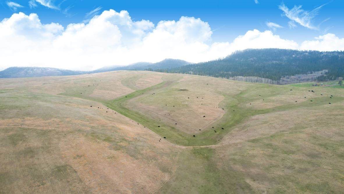TBD Gillette Prairie Road - Photo 1