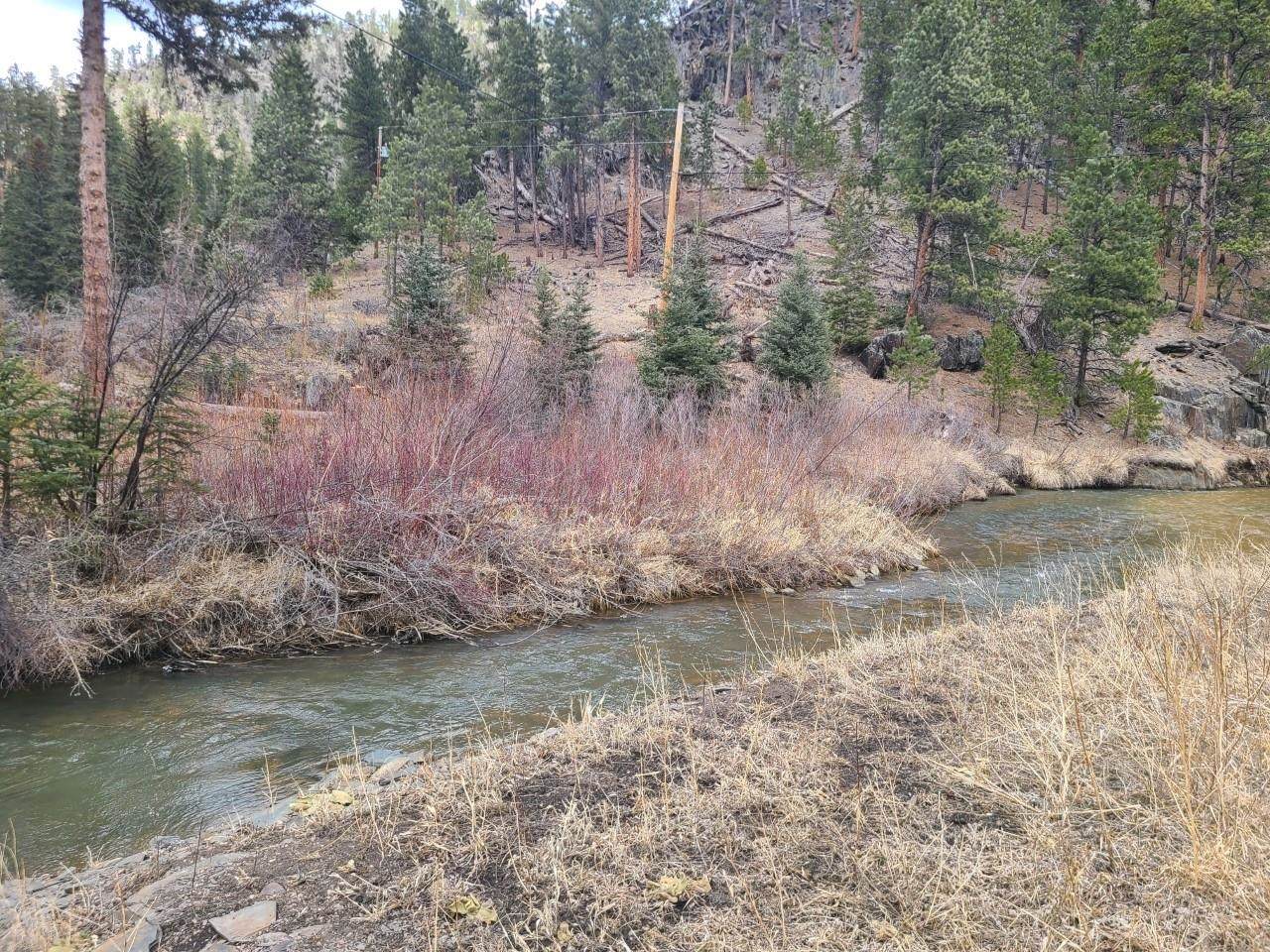 LOT 2 George Frink Road - Photo 1
