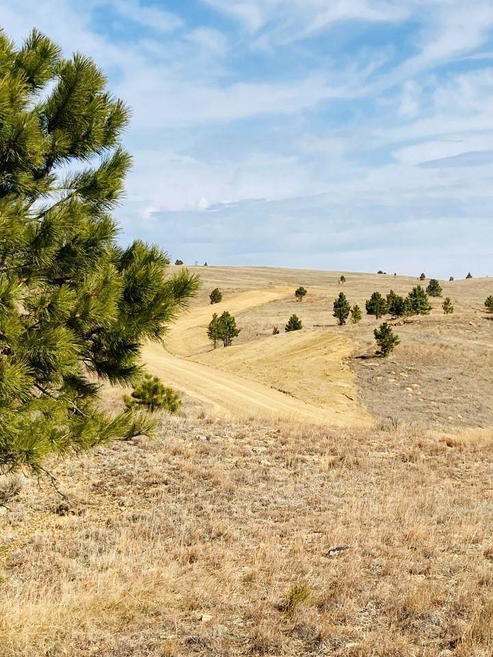Lot 25 Sweet Pea Lane - Photo 1