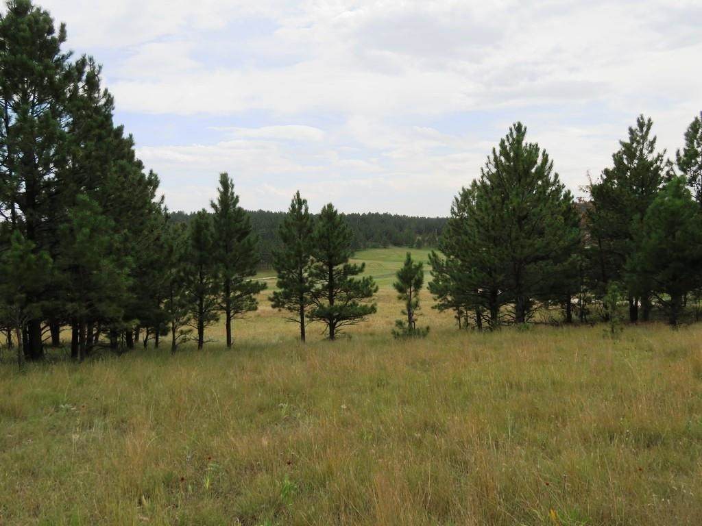 Lot 33 True Grit Trail - Photo 1