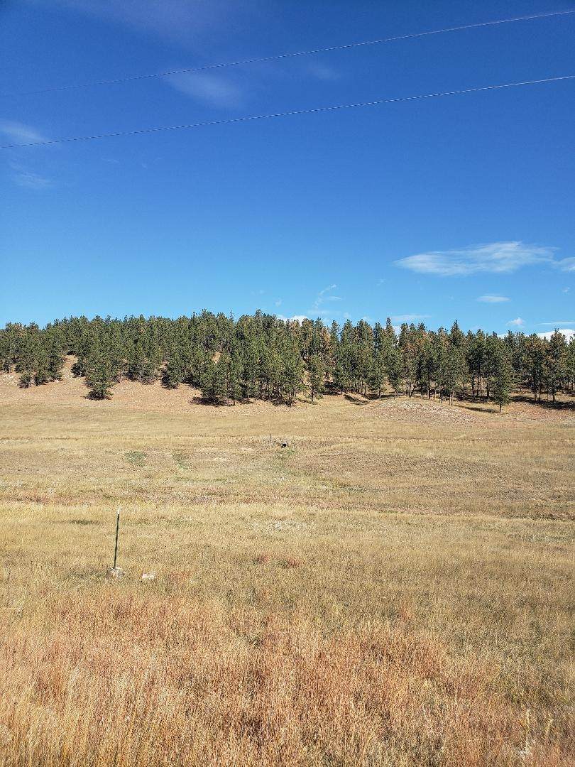 TBD Gold Rush Road - Photo 1