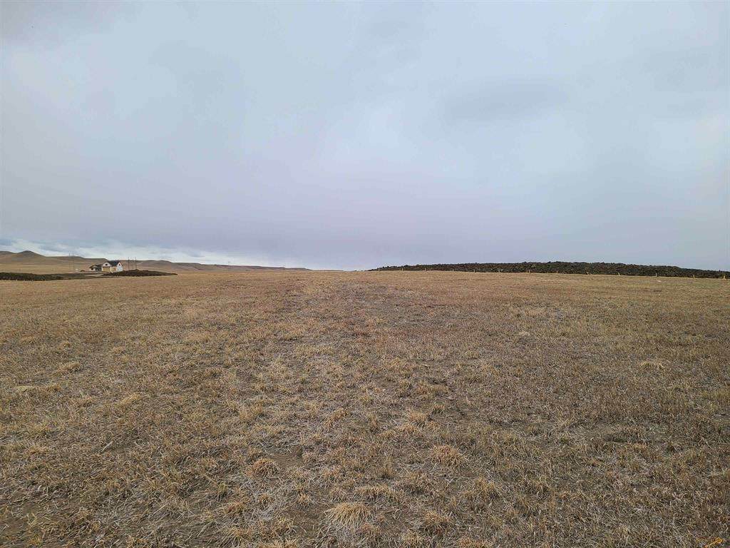 TBD High Bluff Drive - Photo 1