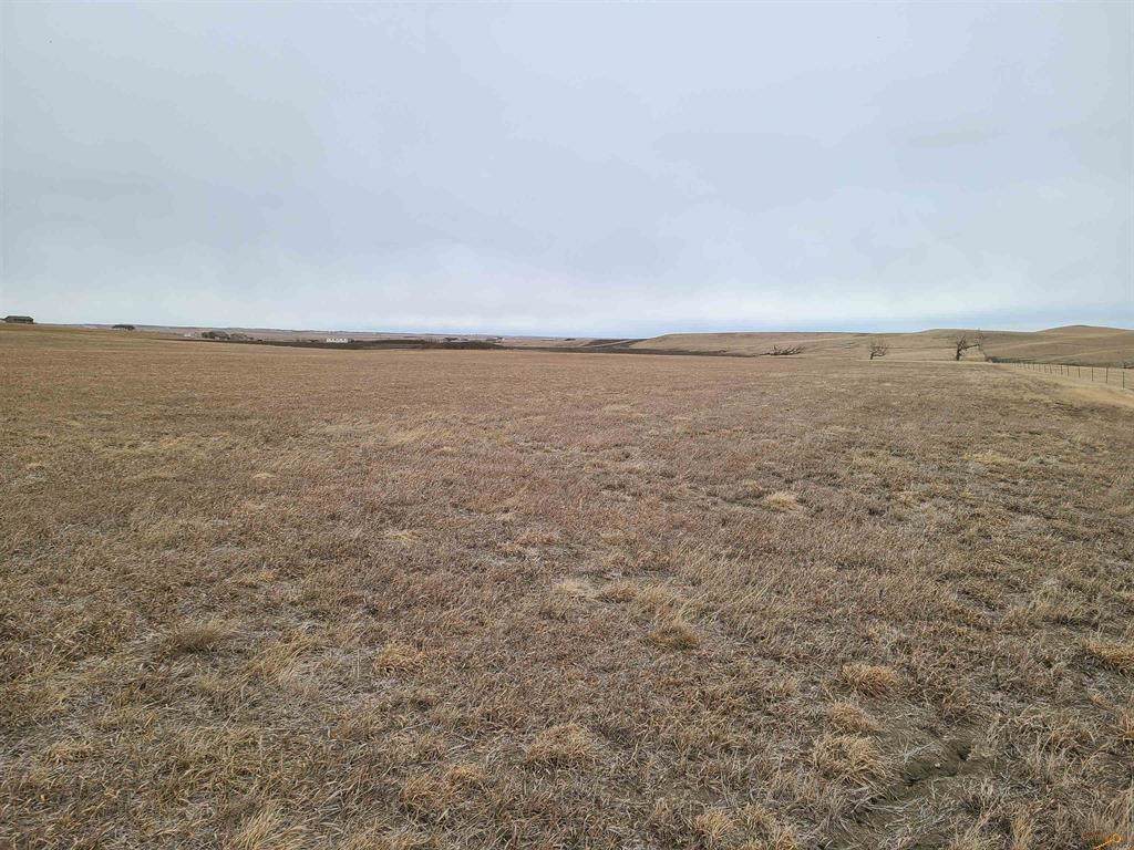 TBD High Bluff Drive - Photo 1