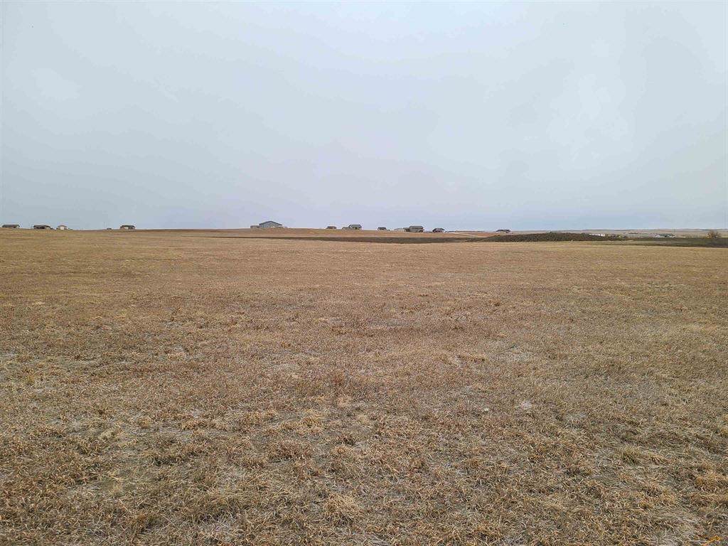 TBD High Bluff Drive - Photo 1