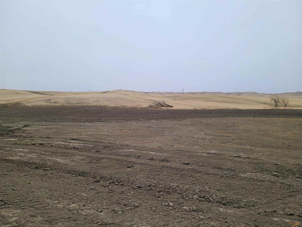 TBD High Bluff Drive - Photo 1